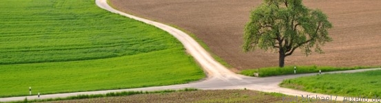 Kreuzung